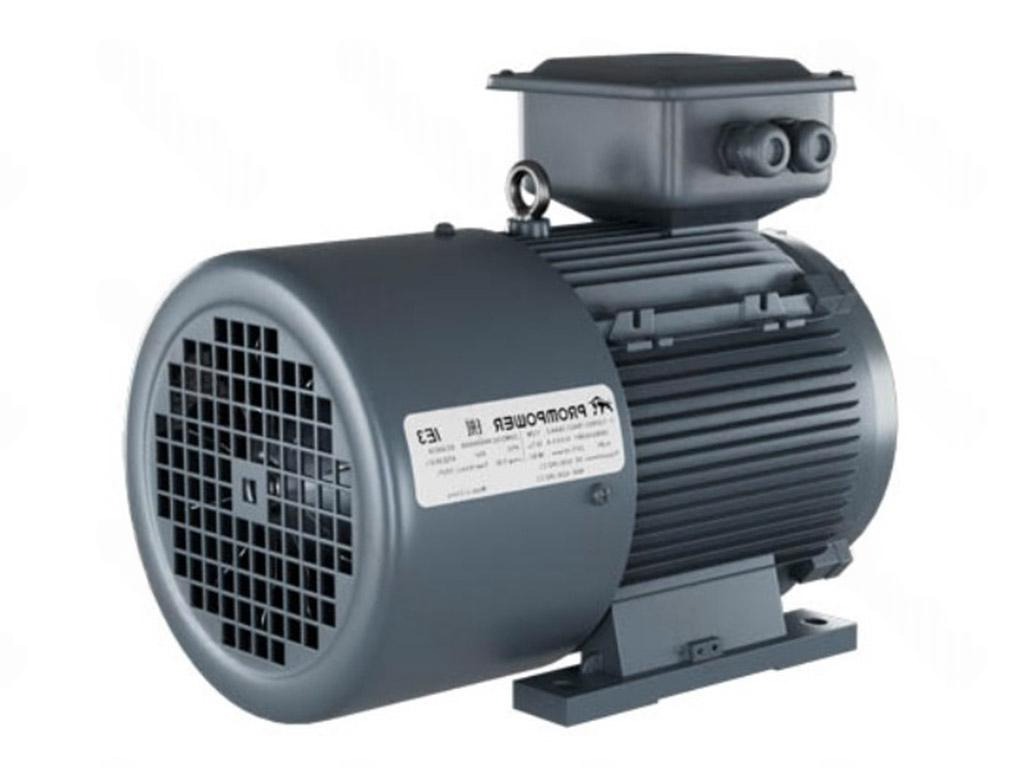 Электродвигатель 1LE9303-0EA42-1AA4 PROMPOWER
