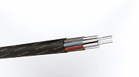 Кабель АКРВГ 10х10